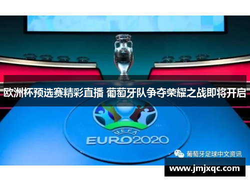 欧洲杯预选赛精彩直播 葡萄牙队争夺荣耀之战即将开启