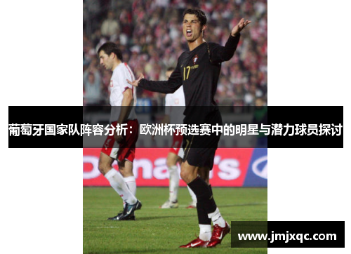 葡萄牙国家队阵容分析：欧洲杯预选赛中的明星与潜力球员探讨