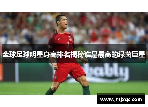 全球足球明星身高排名揭秘谁是最高的绿茵巨星